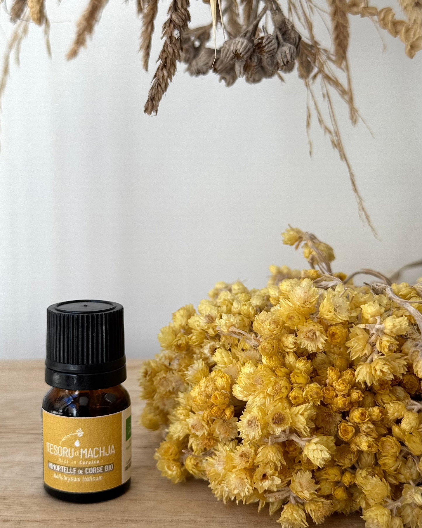 Tesoru di Machja -Huile Essentielle Immortelle